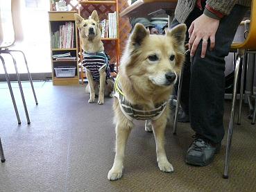 c0123890_20565162.jpg