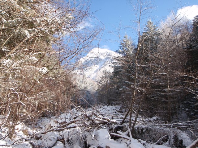 c0147398_012749.jpg