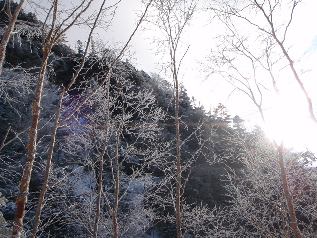 c0147398_0143044.jpg