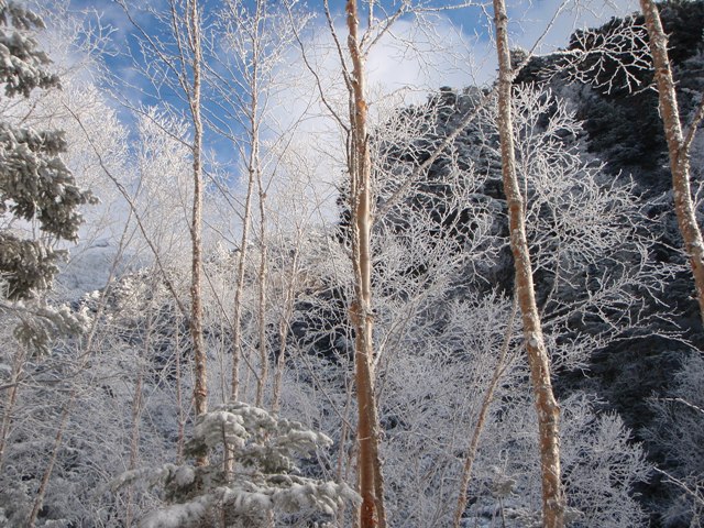 c0147398_0144179.jpg