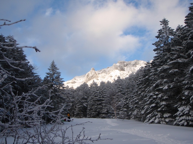 c0147398_0152356.jpg