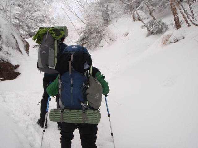 c0147398_01526.jpg