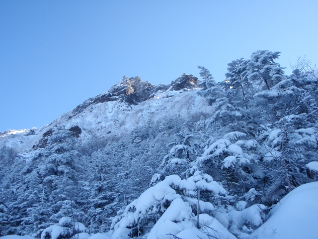 c0147398_16485741.jpg