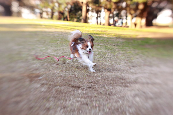 c0044199_23017.jpg