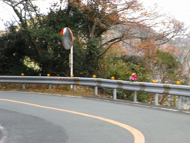 e0122501_11364533.jpg