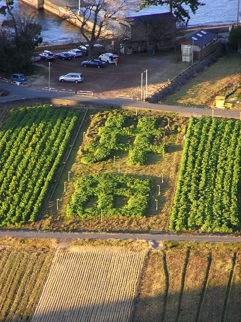 e0122501_11433319.jpg