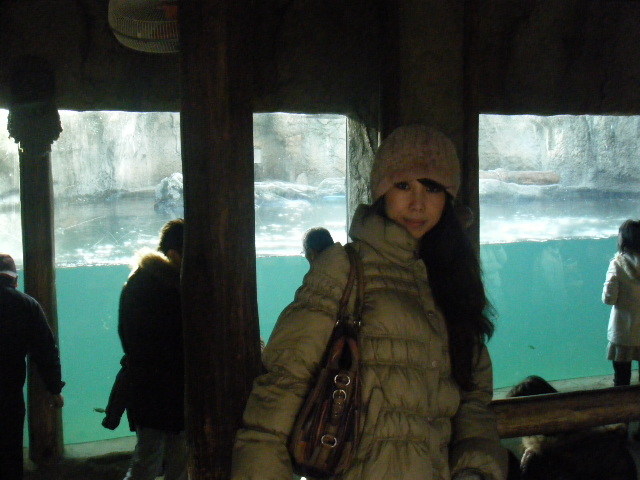 a0050302_451223.jpg