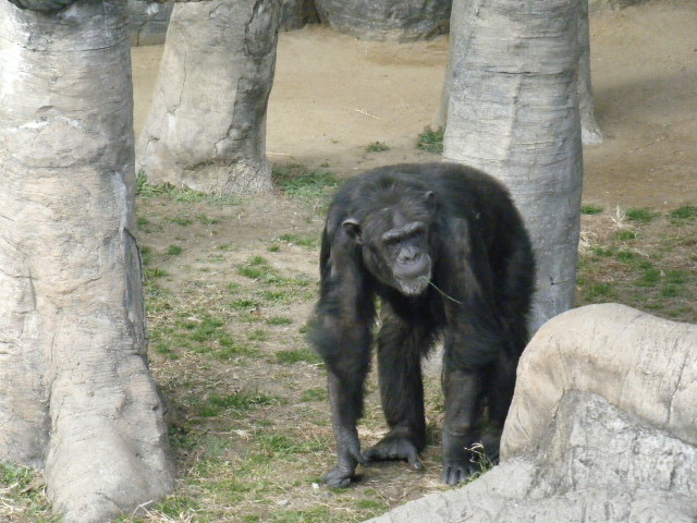 a0050302_4523833.jpg