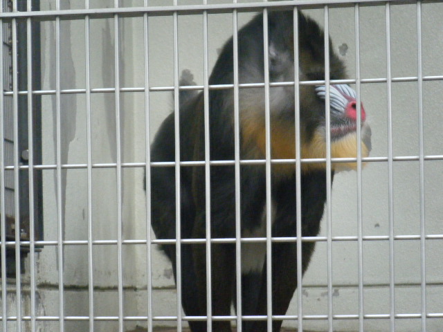 a0050302_4534595.jpg