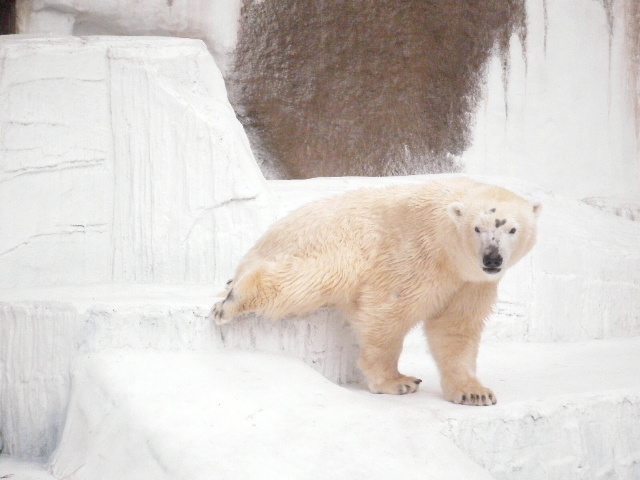 a0050302_4542187.jpg