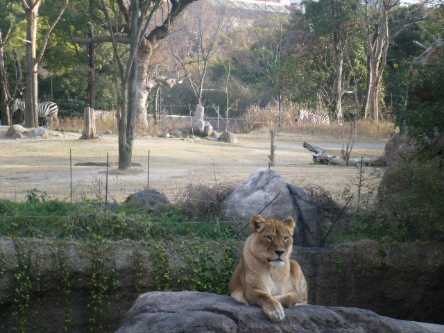 a0050302_4584943.jpg