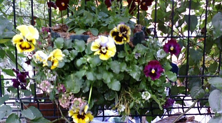 c0152002_18301618.jpg