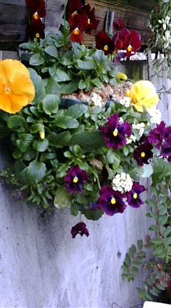 c0152002_18332444.jpg