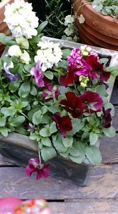 c0152002_18353824.jpg