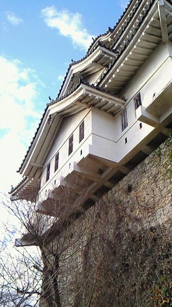 f0098002_2201281.jpg
