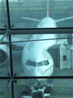 b0142203_4174768.jpg