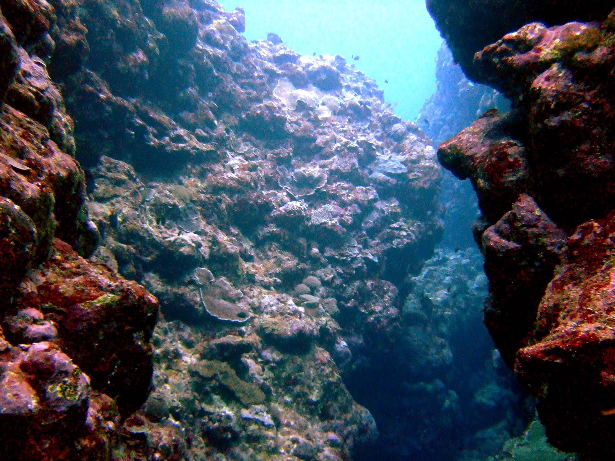 e0162304_1881852.jpg