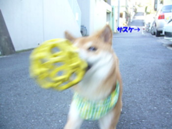 e0131506_23122342.jpg