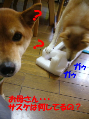 e0131506_23432813.jpg