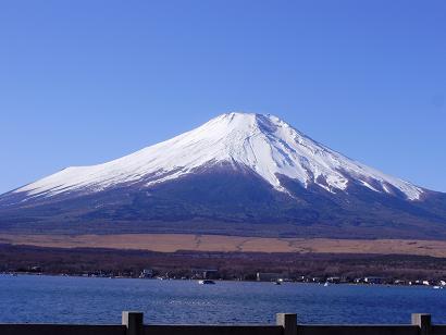 f0008510_1573887.jpg