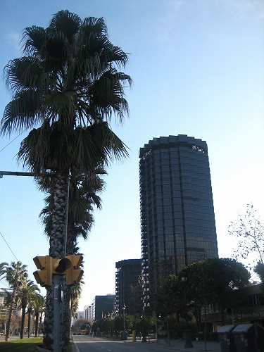 b0064411_836207.jpg