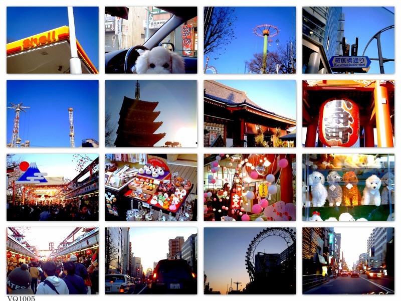 d0083623_0485532.jpg