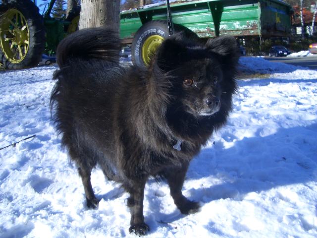 a0024829_21424052.jpg