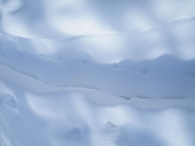 f0118332_23135664.jpg