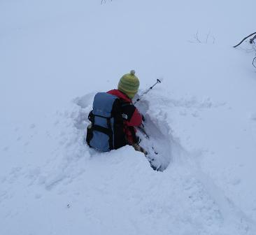 f0118332_23203640.jpg