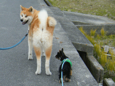 f0008935_0382839.gif