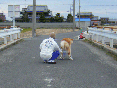 f0008935_0385074.gif