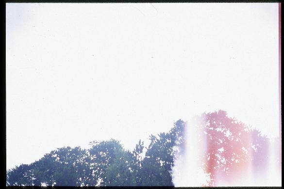 d0103236_15363091.jpg