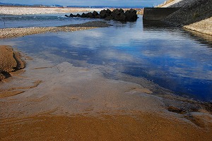 f0010138_9435751.jpg