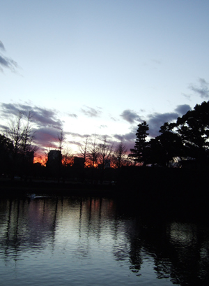 c0048042_1147236.jpg