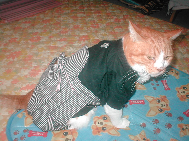 c0194042_20493162.jpg