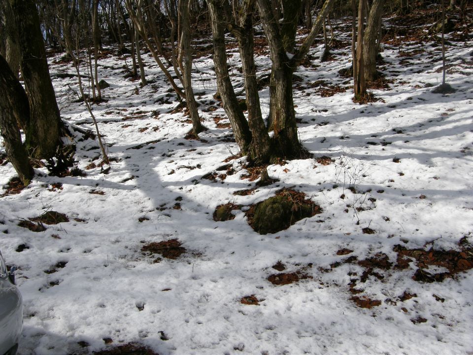f0090444_2355210.jpg