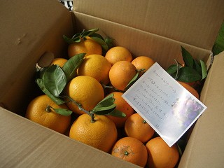 f0009451_1433585.jpg
