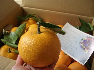 f0009451_1434661.jpg
