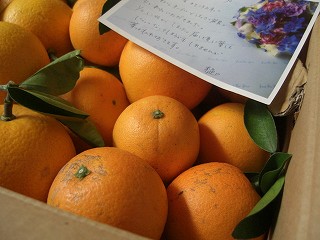 f0009451_1435248.jpg
