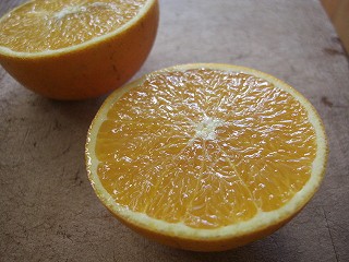 f0009451_144451.jpg