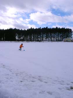 c0138553_1564577.jpg