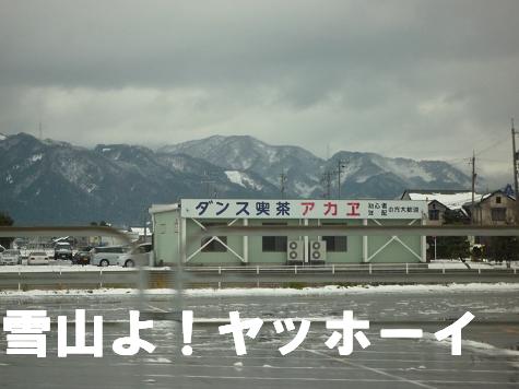 c0164353_15563322.jpg