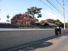 d0031853_022398.jpg