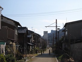 d0031853_1115457.jpg