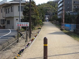 d0031853_1221945.jpg