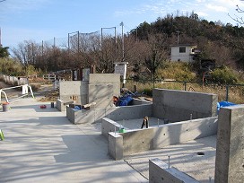 d0031853_138767.jpg