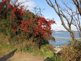 d0031853_147226.jpg
