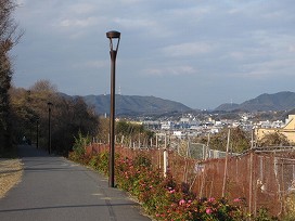 d0031853_1474690.jpg