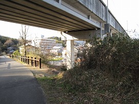 d0031853_149051.jpg