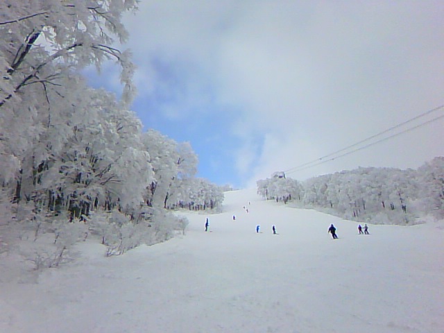 e0124154_1114337.jpg